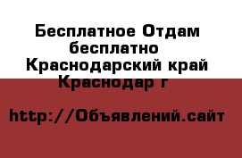 Бесплатное Отдам бесплатно. Краснодарский край,Краснодар г.